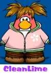 Image of cleanlime on Club Penguin
