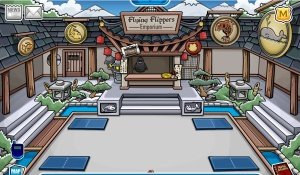 Image of ninja room on Club Penguin